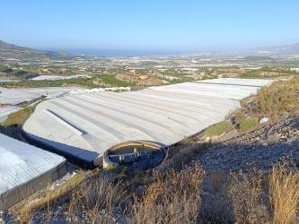finca rústica en motril