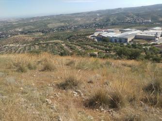 finca rústica en guardia de jaen (la)