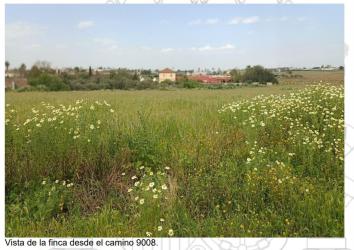 finca rústica en bollullos de la mitacion