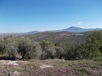 finca rústica en fuente-tojar