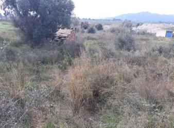 finca rústica en les borges del camp