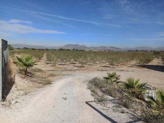 finca rústica en vegas del genil