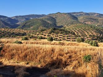finca rústica en martos