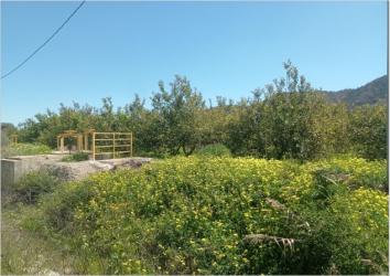 finca rústica en murcia