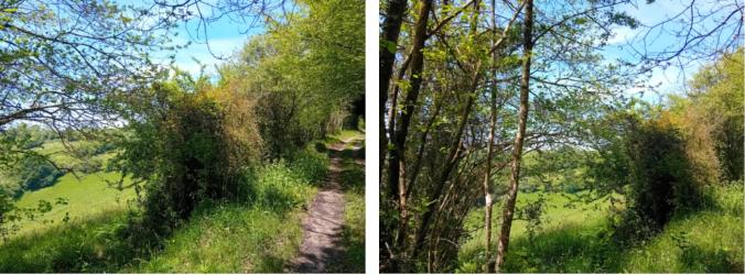 finca rústica en siero