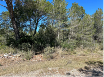 finca rústica en mont-roig del camp