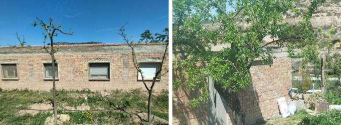 finca rústica en cogul