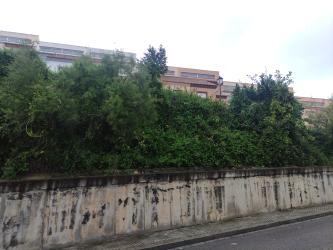 otros en moron de la frontera