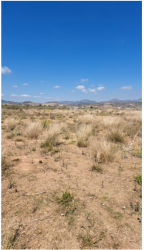 finca rústica en chilches/xilxes