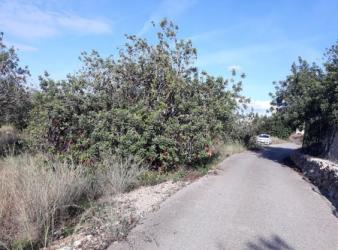 finca rústica en la pobla de montornes