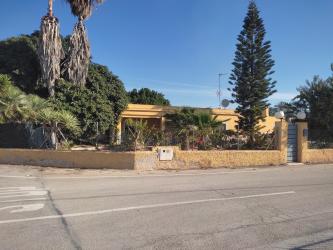 finca rústica en elx/elche