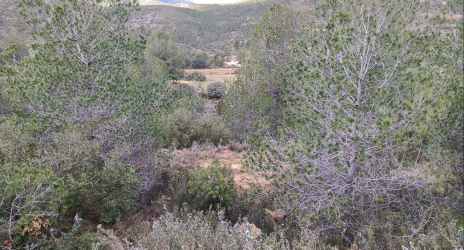 finca rústica en siete aguas
