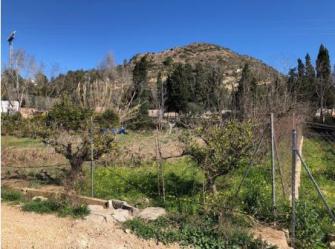 finca rústica en montserrat