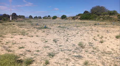 finca rústica en montserrat