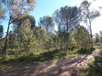 finca rústica en cordoba