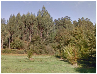 finca rústica en dodro