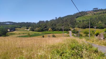 finca rústica en dodro