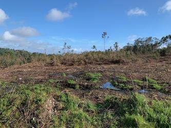 finca rústica en culleredo