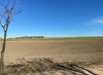 finca rústica en cabaÑas de la sagra