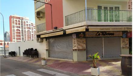 local comercial en cullera