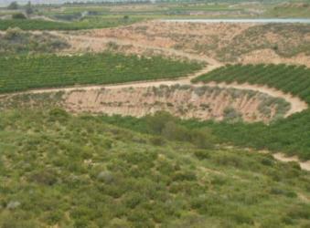 finca rústica en fraga