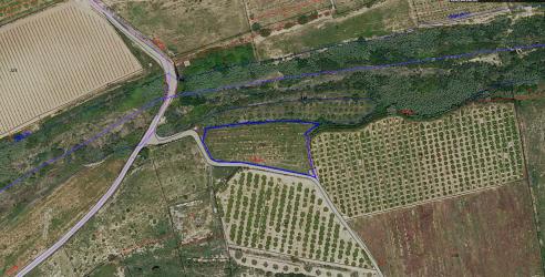 finca rústica en real de montroi