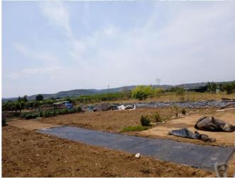 finca rústica en picassent