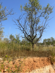 finca rústica en montserrat