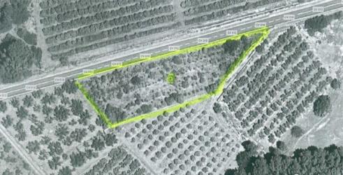 finca rústica en algimia de alfara