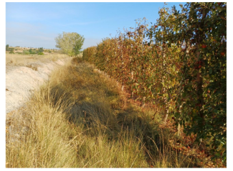finca rústica en vilagrassa