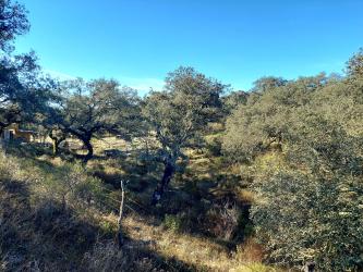 finca rústica en el ronquillo