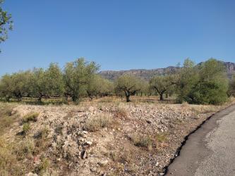 finca rústica en alcosser