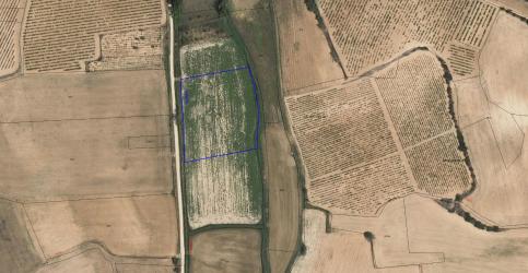 finca rústica en sotillo de la ribera