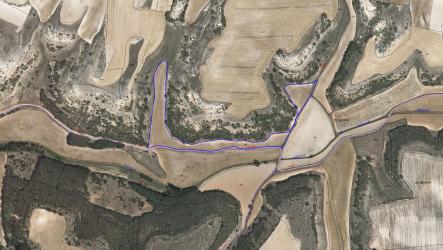 finca rústica en sotillo de la ribera