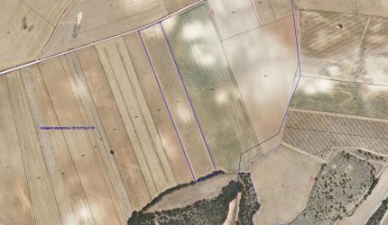 finca rústica en sotillo de la ribera