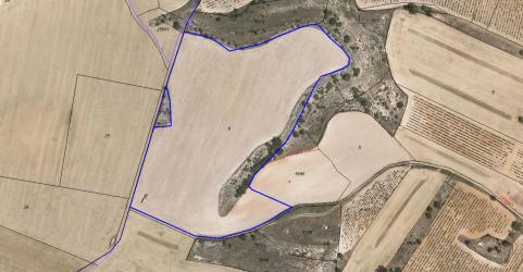 finca rústica en sotillo de la ribera