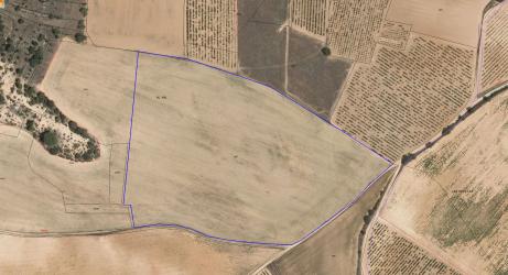 finca rústica en sotillo de la ribera