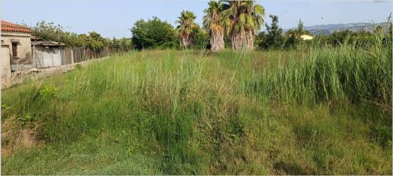 finca rústica en castellon de la plana