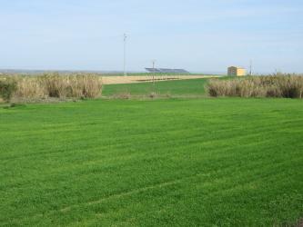 finca rústica en palma cdo la