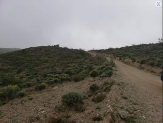 finca rústica en oria