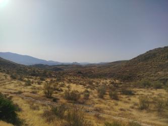 finca rústica en larva