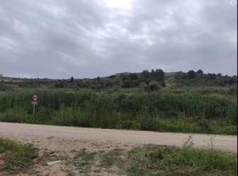 finca rústica en castelldans