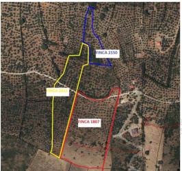 finca rústica en almaden de la plata