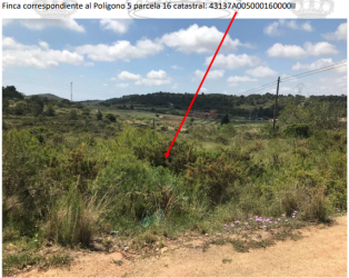 finca rústica en salomo