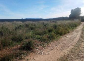 finca rústica en alzira