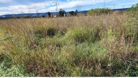 finca rústica en alzira