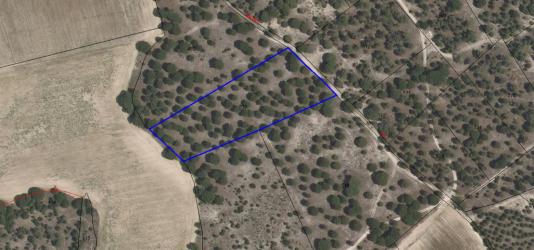 finca rústica en olmedo