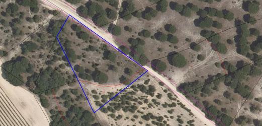 finca rústica en olmedo