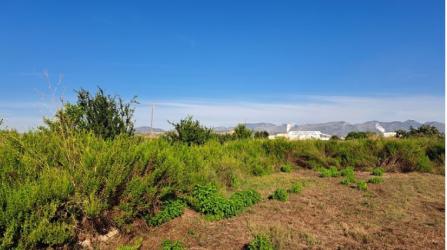 finca rústica en moncofa