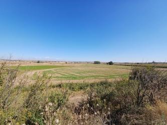 finca rústica en tarrega
